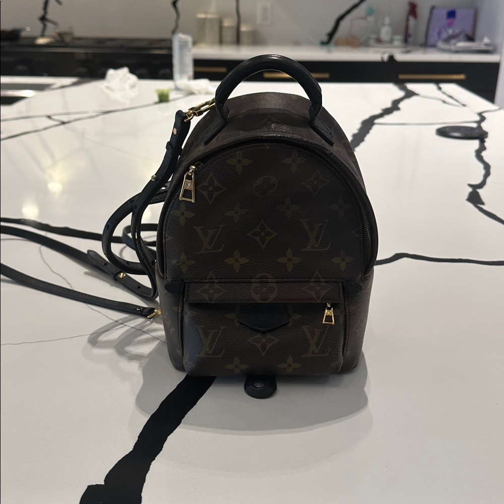 Louis Vuitton Palm Springs Mini Backpack Monogram Brown Leather Crossbody Bag